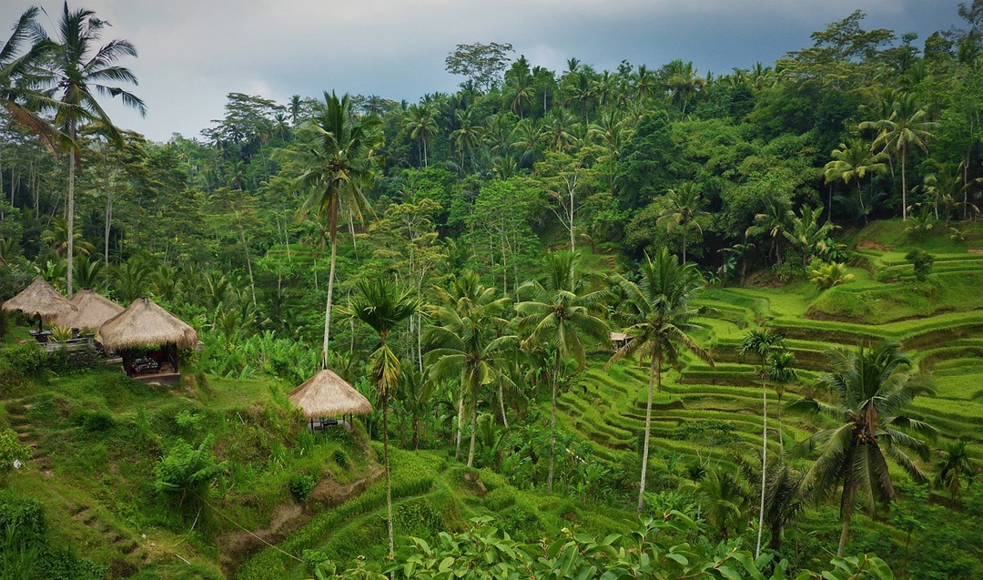 Image of Indonesia 2